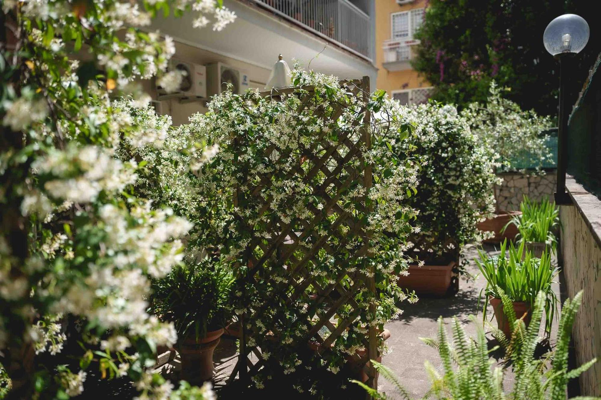 Le Tare B&B, Rome